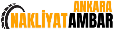 Bursa Manyas Ambar
